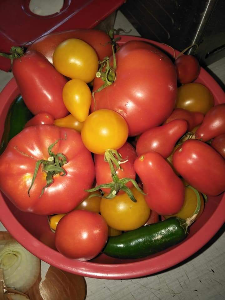 Slow Cooker Tomato Relish ( Chutney )