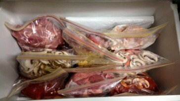 Freezer Dump Bags
