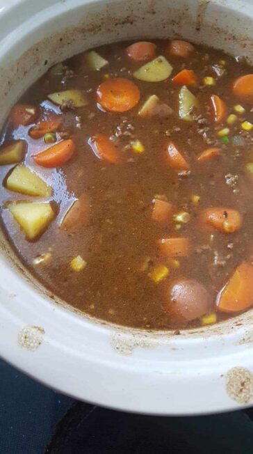 Slow Cooker Mince stew