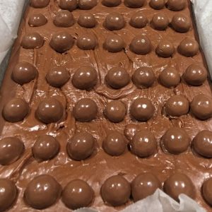 MINT MALTESERS FUDGE