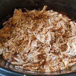 Gravy Pulled Chicken