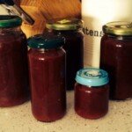 Homemade Tomato Relish
