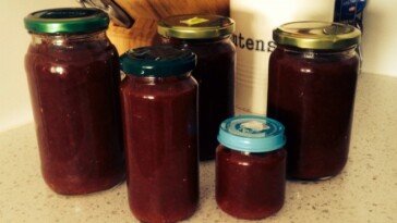 Homemade Tomato Relish