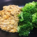 Creamy Mexican Shredded Chicken